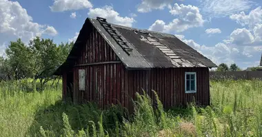 Maison dans Dukorski siel ski Saviet, Biélorussie