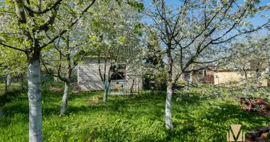 Casa en Piatryskauski sielski Saviet, Bielorrusia