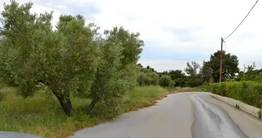 Terrain dans Kalandra, Grèce