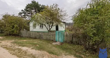 House in Usiazski sielski Saviet, Belarus