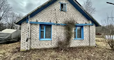 House in Putcynski sielski Saviet, Belarus