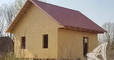 Maison dans Recycki siel ski Saviet, Biélorussie