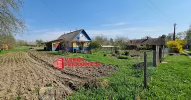 House in Putryskauski sielski Saviet, Belarus