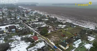 Plot of land in Holacki sielski Saviet, Belarus