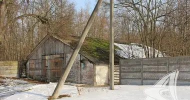 Gewerbefläche in Rakitnicki siel ski Saviet, Weißrussland