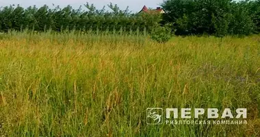 Grundstück in Suchyj Lyman, Ukraine