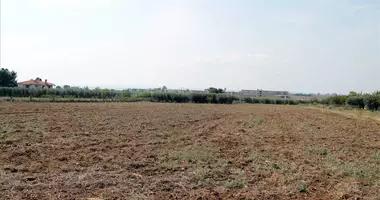 Plot of land in Kalyves Polygyrou, Greece