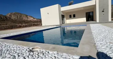 Villa 3 chambres avec Garage, avec Jardin, avec lichnyy basseyn private pool dans el Fondo de les Neus Hondon de las Nieves, Espagne