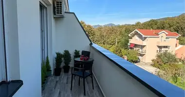 Apartamento 1 habitación en Radanovici, Montenegro