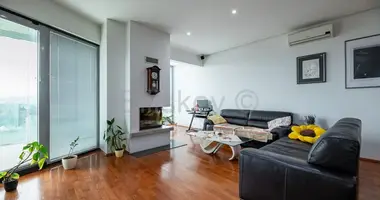 5 room house in Zagreb, Croatia