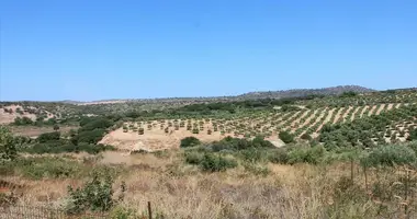 Plot of land in Prinos, Greece