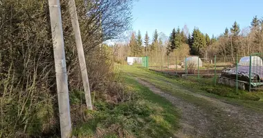 Участок земли в Гатчинский муниципальный округ, Россия
