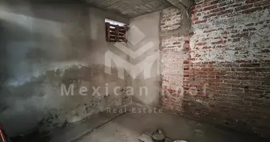 Maison 1 chambre dans Mexico, Mexique
