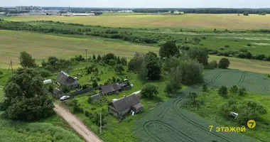 House in Zodzinski sielski Saviet, Belarus