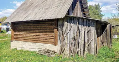 House in Aliachnovicki sielski Saviet, Belarus