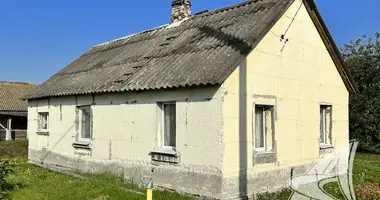 Haus in Telminski sielski Saviet, Weißrussland