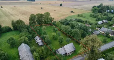 Plot of land in Mikalajunai, Lithuania