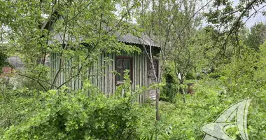 House in Matykalski sielski Saviet, Belarus