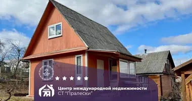 House in Rakauski sielski Saviet, Belarus