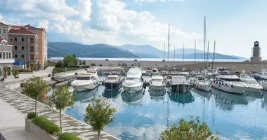 Wohnung 4 zimmer in Radovici, Montenegro