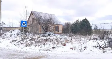 Dom w Pleszczenice, Białoruś