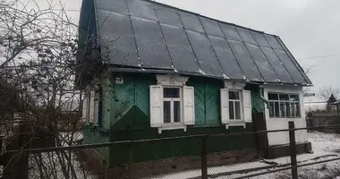 Haus in Babovicki siel ski Saviet, Weißrussland