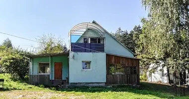 House in Rakauski sielski Saviet, Belarus