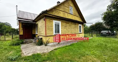 House in Parecki sielski Saviet, Belarus