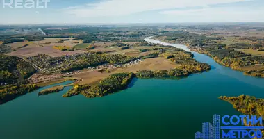 Plot of land in Pryliepy, Belarus