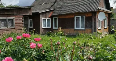 House in Prudzisca, Belarus