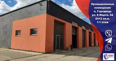 Manufacture 2 316 m² in Haradzisca, Belarus