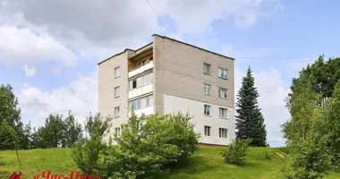 Квартира 2 комнаты в Заславль, Беларусь