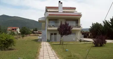 Dom wolnostojący 7 pokojów w Nea Raidestos, Grecja