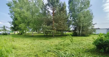 Grundstück in Zodzinski sielski Saviet, Belarus