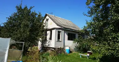 House in Papiarnianski sielski Saviet, Belarus