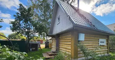 House in Volosovo, Russia