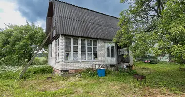 Дом в Лошанский сельский Совет, Беларусь