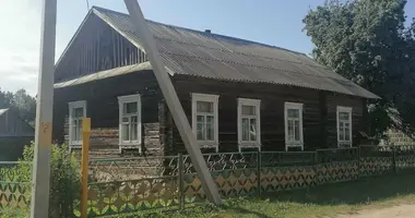 House in Turets, Belarus