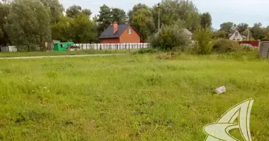 Plot of land in Brest, Belarus