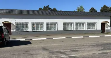Geschäft 283 m² in Pleschtschanizy, Belarus