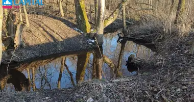 Grundstück in Onikschten, Litauen