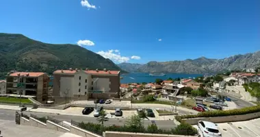 Wohnung in Dobrota, Montenegro