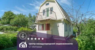 House in Aliachnovicki sielski Saviet, Belarus