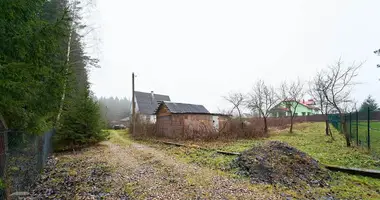 Участок земли в Петришковский сельский Совет, Беларусь