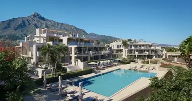 Penthouse 4 chambres dans Del sol, France