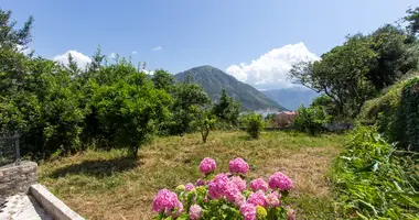 Villa in Kotor, Montenegro