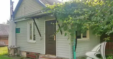 House in Vysokaye, Belarus