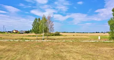 Grundstück in Kaunas, Litauen