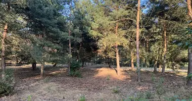 Plot of land in Biedrusko, Poland