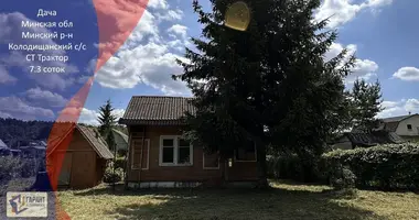 House in Kalodziscanski sielski Saviet, Belarus